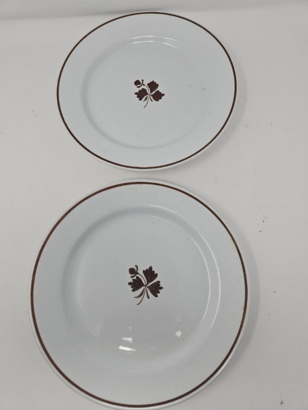 2 Antique Alfred Meakin Ironstone Tea Leaf Dinner Plate England Copper Luster 9"